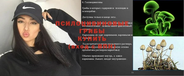 дурь Алзамай