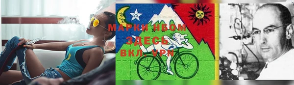 дурь Алзамай