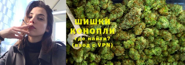 дурь Алзамай