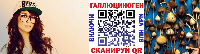 купить   Всеволожск  Галлюциногенные грибы MAGIC MUSHROOMS 