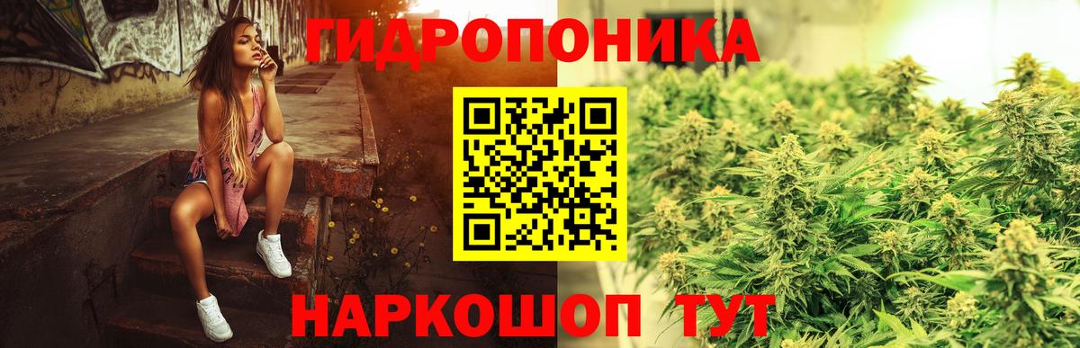 Канабис семена Всеволожск